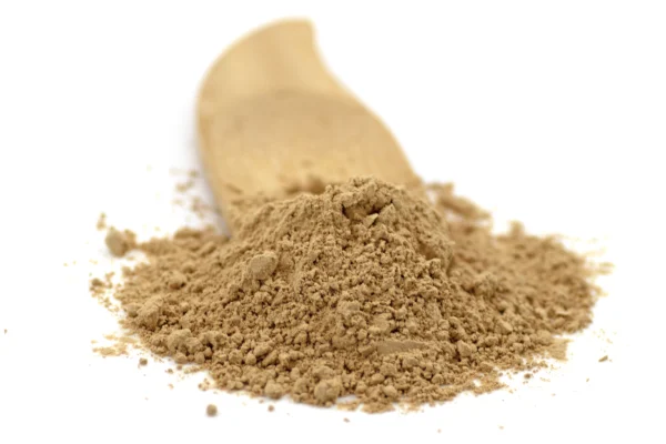 Aslan Yelesi Mantarı Tozu 50 gr Lion's Mane Powder Hericium