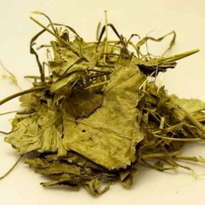 Aslan Pençesi Otu 50 gr Testere Dişli (Alchemilla vulgaris L.)