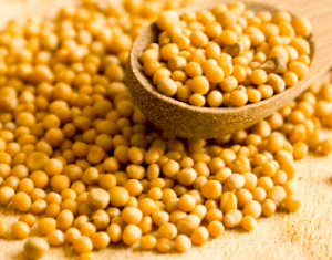 Tane Sarı Hardal 500 gr Katkısız Yerli