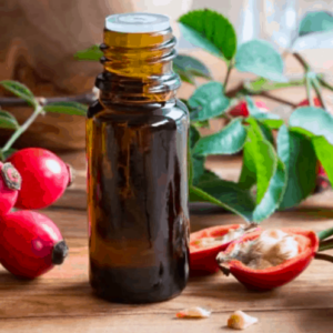 Kuşburnu Çekirdeği Yağı 20 ml Soğuk Sıkım Katkısız (Kuşburnu Yağı)