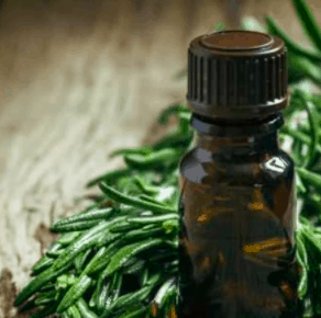 Çay Ağacı Yağı 20 ml