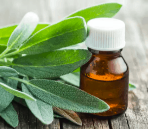 Adaçayı Yağı 20 ml Acı Elma Sage