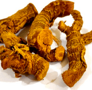 Havlıcan Kök 100 gr Yerli Üretim (Alpinia, alpinya, avlucan, galanagal)