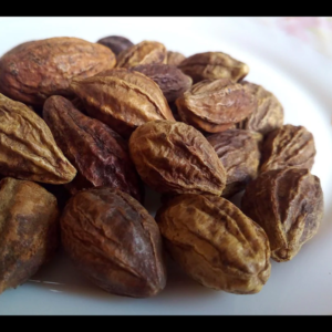 Sarı Halile Tozu 50 gr Terminalia Citrina (Chebulic Myrobalan Fruit) Öğütülmüş