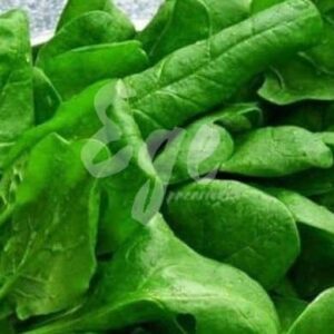 Yerel Tere Tohumu (15 gr) Yerli Tohum