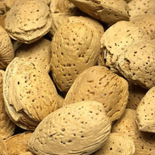 Datça Acı Badem 250 Gr Kabuklu Ilaçsız Doğal Katkısız