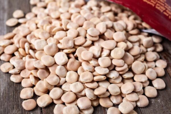 Acı Bakla 100 gr Yahudi Baklası Kuru Lupin Ata Tohum (TERMİYE, TİRMİS)