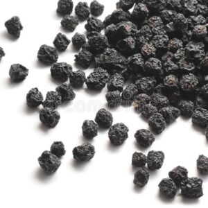 Aronya Meyvesi Kurutulmuş 100 gr Aronia Fruit Chocoberry