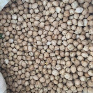 Atalık Tohum Nohut 500 gr
