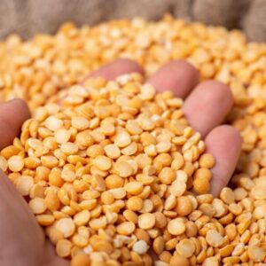 Gambilya (Bodrum Baklası) 500 gr Bodrum Favası