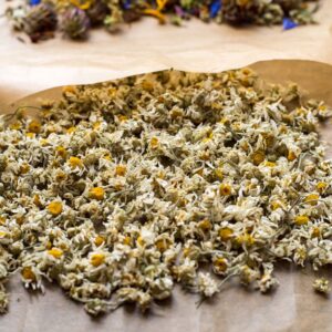 Mayıs Papatyası 50 gr İlaçsız Doğal Toplama -Tıbbi Papatya Çayı