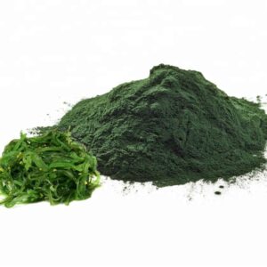 Chlorella Tozu 25 gr Katkısız Klorella Yosun Tozu (Süper Besin)