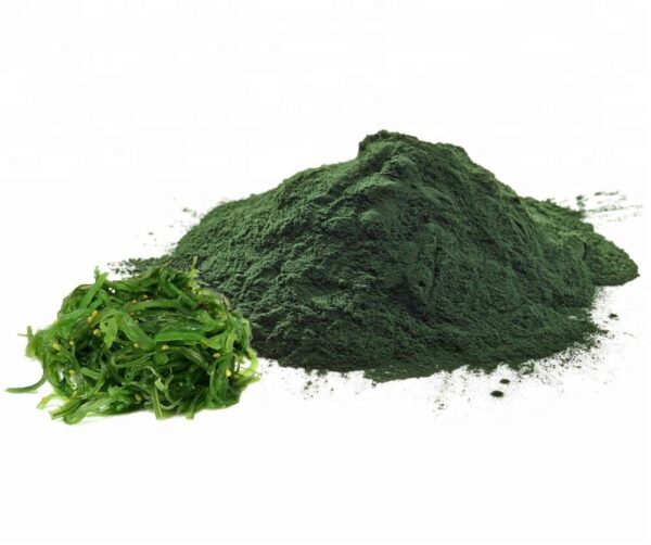 Chlorella Tozu 25 gr Katkısız Klorella Yosun Tozu (Süper Besin)