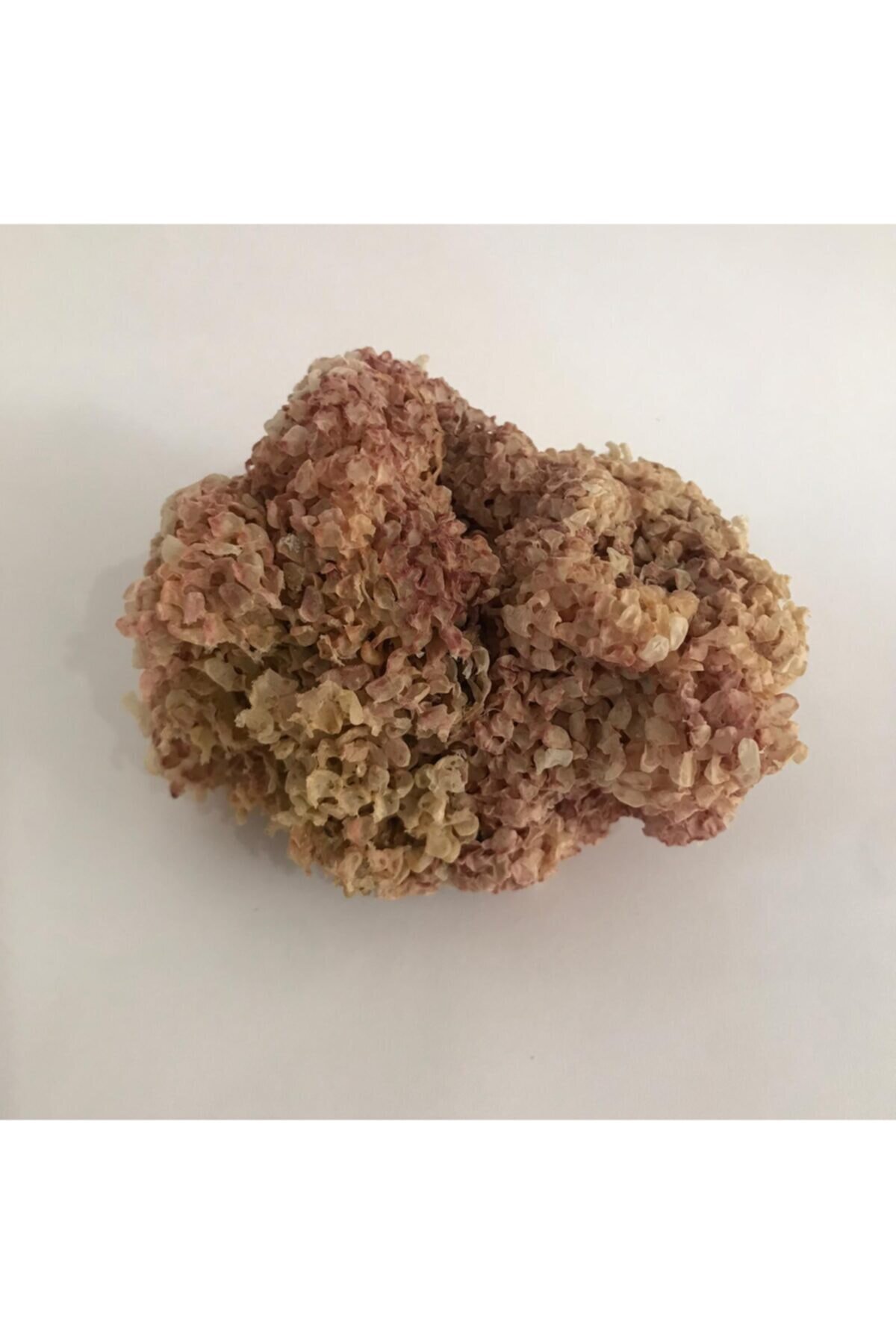 Deniz Kadayıfı 25 gr