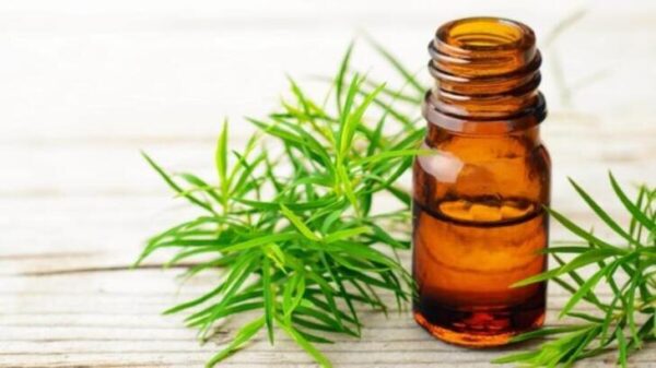Hint Yağı Soğuk Sıkım 50 ml Saf Yağ