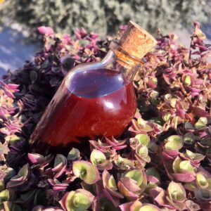 Kantaron Yağı (Kırmızı Kantaron Çiçeğinden) 100 ml