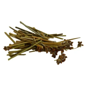 Kayış Kıran Otu 100 gr Kayışkıran (Yandak Otu)