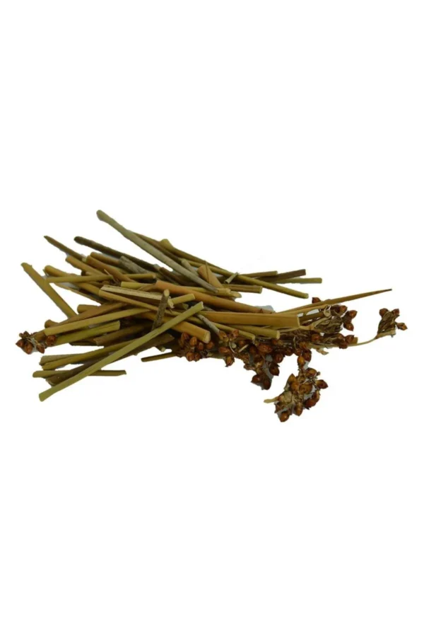 Kayış Kıran Otu 100 gr Kayışkıran (Yandak Otu)