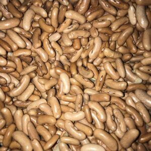 Kırk Günlük Oturak Fasülye Tohumu 10 gr Yerli
