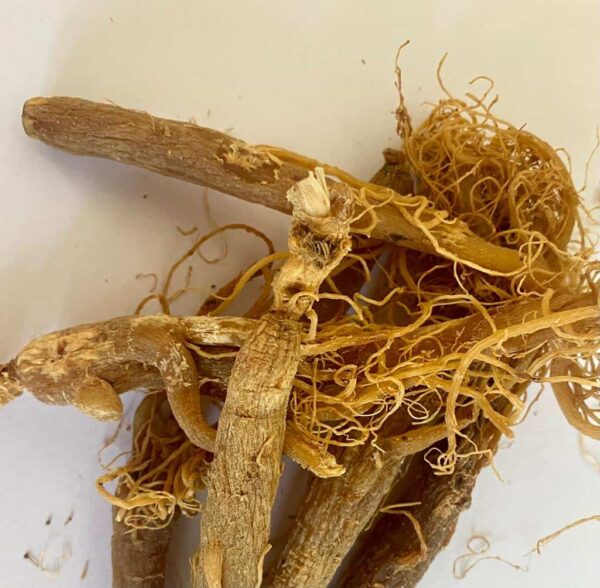 Kırmızı Ginseng Kök (Panax) Kore Ginsengi 20 gr