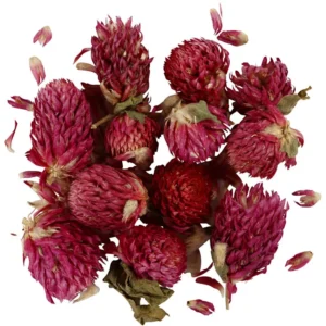 Kırmızı Yonca Çayı Kızıl Red Clover 25 gr Trifolium Pratense