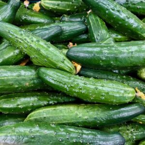 Köy Salatalığı Tohumu 5 gr Dikenli Az Çekirdekli Yerli