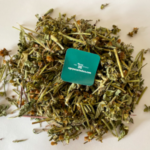 Kutsal Fesleğen 25 gr Tulsi Hint Fesleğeni