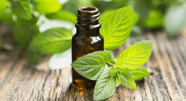 Melisa Yağı 20 ml Uçucu Yağ