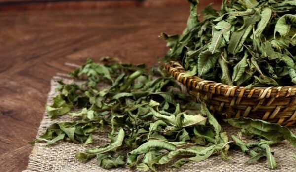 Melisa Çayı 20 gr Limon Otu Limon Melisa LİPPİA CİTRİODORA Lemon Balm