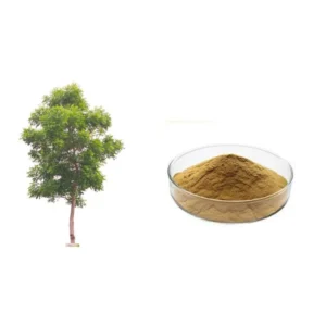 Neem Tozu 100 gr (Nim)