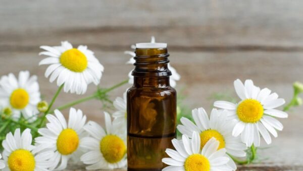 Papatya Yağı 20 ml Doğal Bakım Yağı Saç