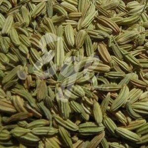 Yerel Rezene Tohumu (25 gr) Yabani