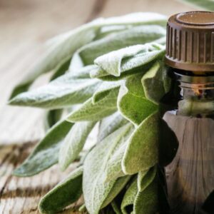 Adaçayı Yağı 5 ml Saf Uçucu Yağ 1. kalite ACI ELMA