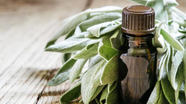 Adaçayı Yağı 5 ml Saf Uçucu Yağ 1. kalite ACI ELMA
