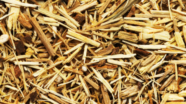 Eleuthero Kökü (Sibirya Ginsengi) 50 gr - Görsel 2