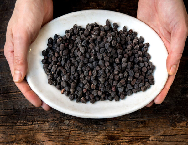 Siyah Nohut 500 gr Yerli Kara Nohut