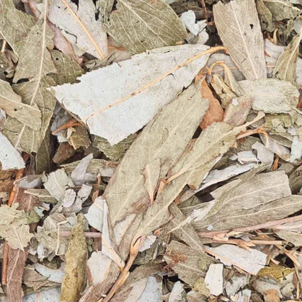 Söğüt Yaprağı 100 gr Kuru Söğüt Ağacı Yaprağı Doğal İlaçsız