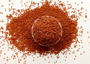 Tere Tohumu Tozu 100 gr Taze Çekilir İlaçsız Yenebilir Yerli