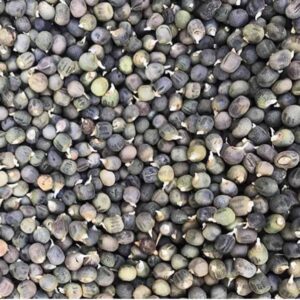 Yerel Bamya Tohumu İlaçsız (25 gr) ATALIK TOHUM