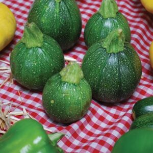 Kabak Tohumu 10 gr Yerli İlaçsız Topan Kabak Dolmalık Kabak