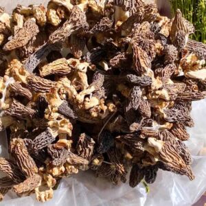 Kuzu Göbeği Mantarı Kurutulmuş (50 gr) Morel