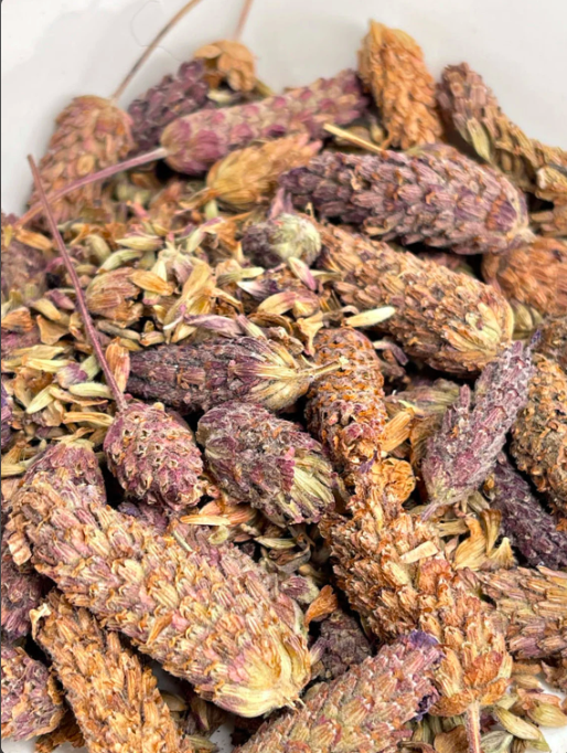 Karabaş Otu Çayı Kelle 100 gr Karabaşotu