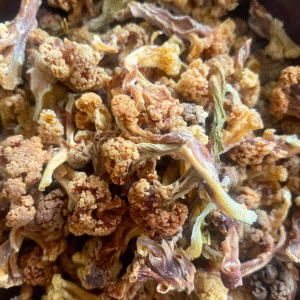 Karnıbahar Kurusu 100 gr Karnabahar Katkısız