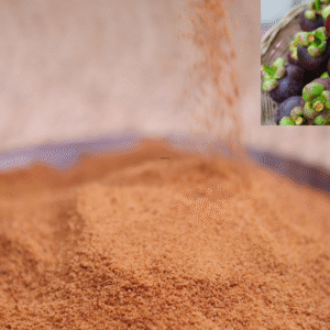 Mangostan Tozu 50 gr Garcinia mangostana