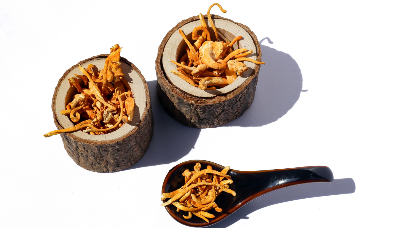 Cordyceps Mantarı Tozu 50 gr Cordyceps Sinensis ( Kordisep)